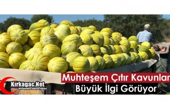 MUHTEŞEM ÇITIR KAVUNLAR BÜYÜK İLGİ GÖRÜYOR