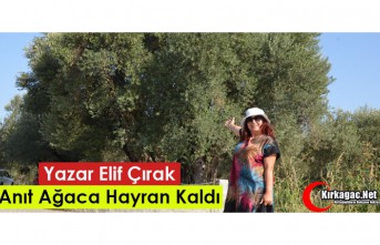 YAZAR ELİF ÇIRAK “TARİHİ ANIT AĞACA” HAYRAN...