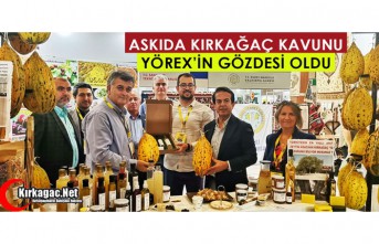 ASKIDA KIRKAĞAÇ KAVUNU YÖREX’İN GÖZDESİ OLDU