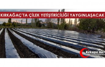 KIRKAĞAÇ’TA ÇİLEK YETİŞTİRİCİLİĞİ YAYGINLAŞACAK