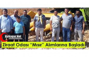 ZİRAAT ODASI MISIR ALIMLARINA BAŞLADI