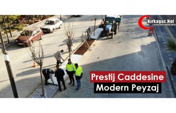 PRESTİJ CADDESİNE MODERN PEYZAJ