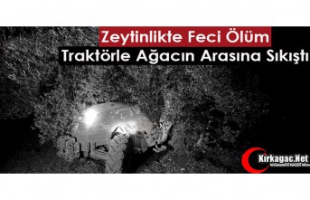 ZEYTİNLİKTE FECİ ÖLÜM,.TRAKTÖRLE AĞACIN ARASINA SIKIŞTI