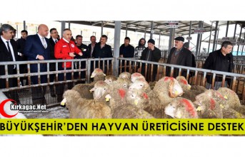 BÜYÜKŞEHİR’DEN HAYVAN ÜRETİCİSİNE DESTEK