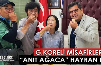 G.KORELİ MİSAFİRLER “ANIT AĞACA” HAYRAN KALDI