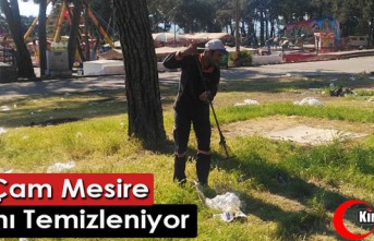 KIRKAĞAÇ ÇAM MESİRE ALANI TEMİZLENİYOR