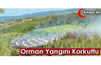 ORMAN YANGINI KORKUTTU