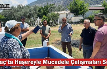 KIRKAĞAÇ'TA HAŞEREYLE MÜCADELE ÇALIŞMALARI SÜRÜYOR