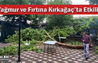 KIRKAĞAÇ’TA YAĞMUR ve FIRTINA AĞAÇLARI DEVİRDİ