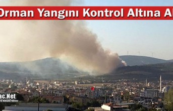 ORMAN YANGINI KONTROL ALTINA ALINDI