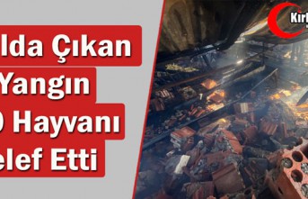 AĞILDA ÇIKAN YANGIN 20 HAYVANI TELEF ETTİ  