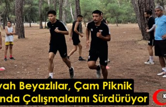 Acaridman Çalışmalarını Çam Piknik Alanında Sürdürüyor