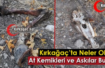 KIRKAĞAÇ’TA AT KEMİKLERİ ve ASKILAR BULUNDU