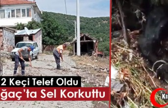 KIRKAĞAÇ’TA KORKUTAN SEL..2 KEÇİ TELEF OLDU