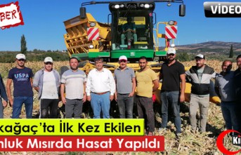 KIRKAĞAÇ’TA İLK KEZ EKİLEN TOHUMLUK MISIRDA HASAT YAPILDI(VİDEO)