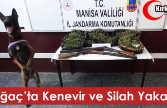 KIRKAĞAÇ’TA KENEVİR ve SİLAH YAKALANDI