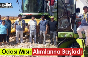 ZİRAAT ODASI "MISIR" ALIMINA BAŞLADI