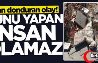 BUNU YAPAN İNSAN OLAMAZ..KIRKAĞAÇ’TA KAN DONDURAN OLAY