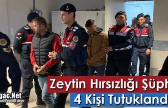 KIRKAĞAÇ'TA ZEYTİN HIRSIZLIĞI ŞÜPHELİSİ 4 KİŞİ TUTUKLANDI