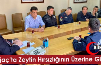 KIRKAĞAÇ’TA “ZEYTİN HIRSIZLIĞININ” ÜZERİNE GİDİLİYOR