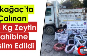 KIRKAĞAÇ’TA ÇALINAN 874 KG ZEYTİN SAHİBİNE TESLİM EDİLDİ