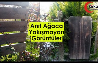 ANIT AĞACA YAKIŞMAYAN GÖRÜNTÜLER