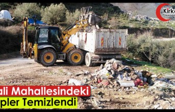 KARAALİ MAHALLESİNDEKİ ÇÖPLER TEMİZLENDİ