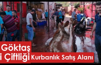 ARİF GÖKTAŞ BESİ ÇİFTLİĞİ-KURBANLIK SATIŞ...