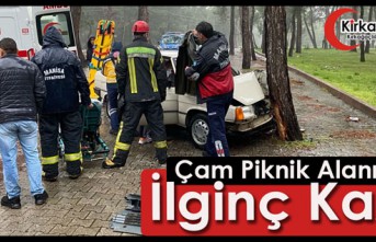 ÇAM PİKNİK ALANINDA İLGİNÇ KAZA 2 YARALI