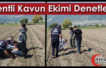 PATENTLİ KIRKAĞAÇ KAVUNUNUN EKİMİ DENETLENDİ