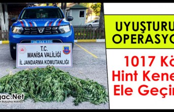 UYUŞTURUCU OPERASYONU