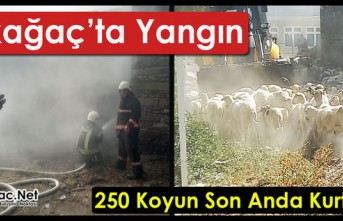 KIRKAĞAÇ’TA YANGIN..250 KOYUN SON ANDA KURTARILDI