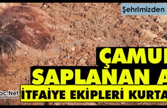 ÇAMURA SAPLANAN ATI İTFAİYE EKİPLERİ KURTARDI