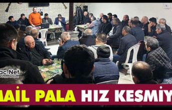 DEMOKRAT PARTİ ADAYI PALA HIZ KESMİYOR