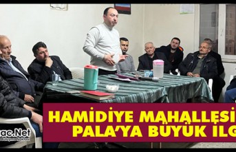 HAMİDİYE MAHALLESİNDE PALA’YA BÜYÜK İLGİ