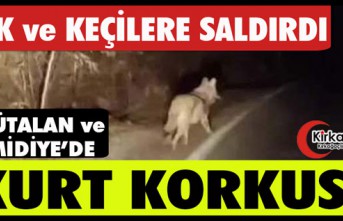 SÖĞÜTALAN ve HAMİDİYE’DE “KURT” KORKUSU