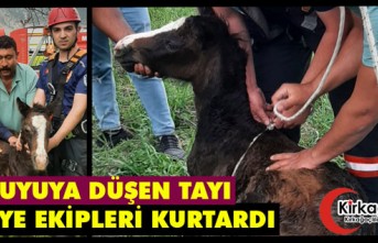 KUYUYA DÜŞEN TAYI İTFAİYE EKİPLERİ KURTARDI