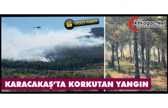 KARACAKAŞ'TA KORKUTAN YANGIN(VİDEO)