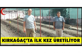 KIRKAĞAÇ’TA İLK KEZ ÜRETİLİYOR