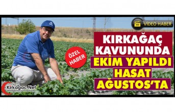 KIRKAĞAÇ KAVUNUNDA EKİM YAPILDI, HASAT AĞUSTOS’TA(ÖZEL HABER)