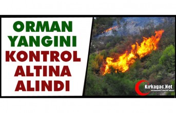 ORMAN YANGINI KONTROL ALTINA ALINDI