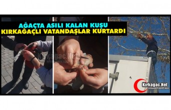 AĞAÇTA ASILI KALAN KUŞUN İMDADINA KIRKAĞAÇLI...