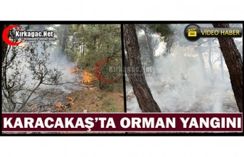 KARACAKAŞ’TA ORMAN YANGINI(VİDEO)