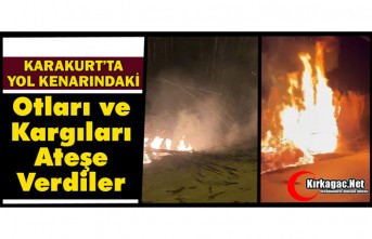 KARAKURT’TA YOL KENARINDA Kİ OTLARI ve KARGILARI...