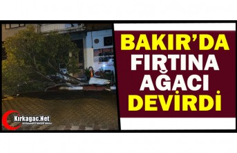 BAKIR’DA FIRTINA AĞACI DEVİRDİ