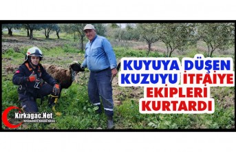 KUYUYA DÜŞEN KUZUYU İTFAİYE EKİPLERİ KURTARDI