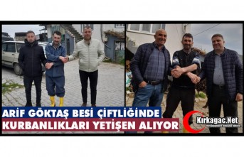 ARİF GÖKTAŞ BESİ ÇİFTLİĞİNDE KURBANLIKLARI YETİŞEN ALIYOR