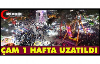 GELENEKSEL ÇAM FESTİVALİ 1 HAFTA UZATILDI