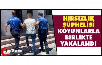 HIRSIZLIK ŞÜPHELİSİ KOYUNLARLA BİRLİKTE YAKALANDI