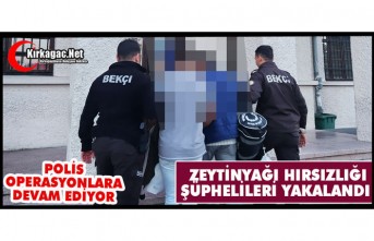 ZEYTİNYAĞI HIRSIZLIĞI ŞÜPHELİLERİ YAKALANDI